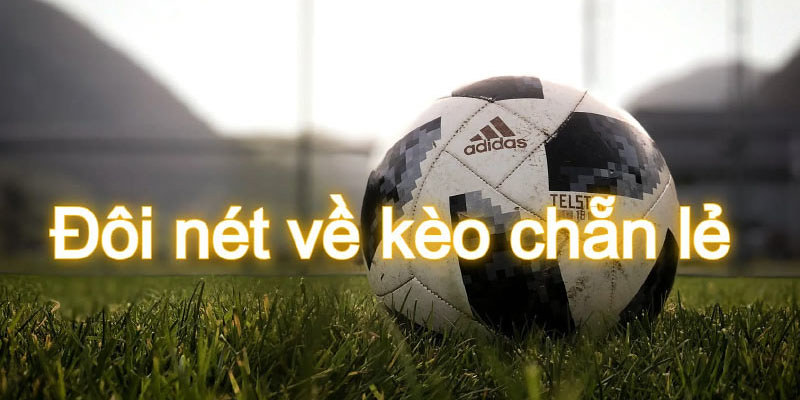 Kinh nghiệm bắt kèo chẵn lẻ nhà cái SonClub