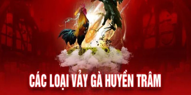 vảy gà huyền trâm là gì